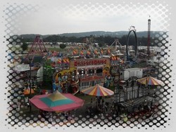 are dogs allowed at the sussex county fair