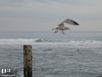 Seaside Park February 2016